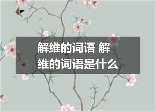 解维的词语 解维的词语是什么