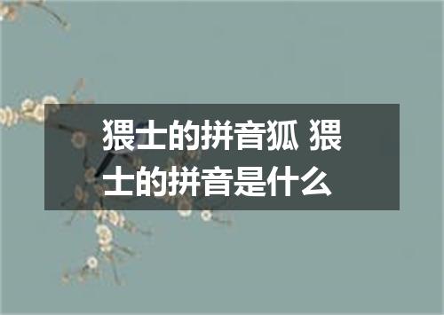 猥士的拼音狐 猥士的拼音是什么