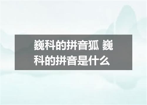 巍科的拼音狐 巍科的拼音是什么