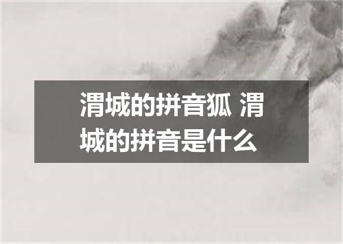 渭城的拼音狐 渭城的拼音是什么