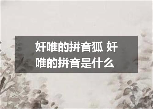奸唯的拼音狐 奸唯的拼音是什么