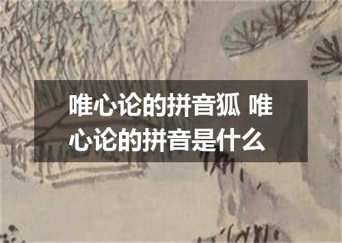 唯心论的拼音狐 唯心论的拼音是什么