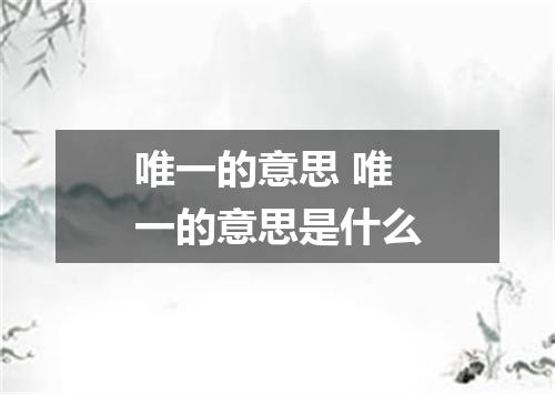 唯一的意思 唯一的意思是什么