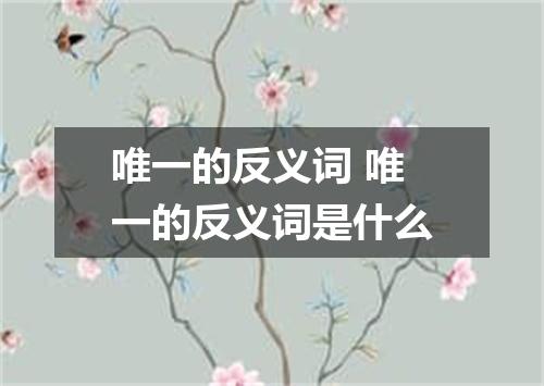 唯一的反义词 唯一的反义词是什么