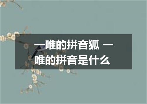 一唯的拼音狐 一唯的拼音是什么