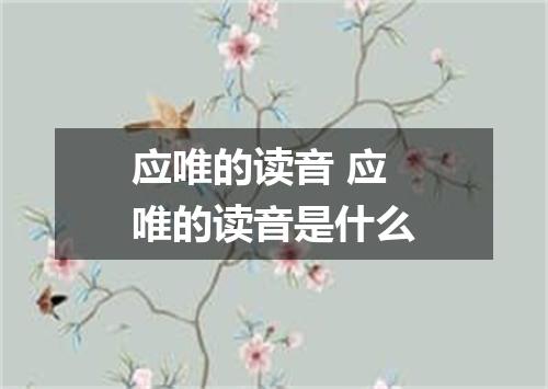 应唯的读音 应唯的读音是什么