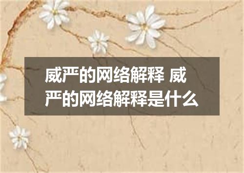 威严的网络解释 威严的网络解释是什么