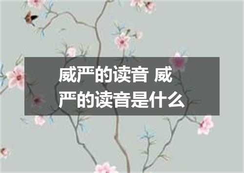 威严的读音 威严的读音是什么