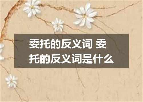 委托的反义词 委托的反义词是什么