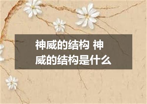 神威的结构 神威的结构是什么