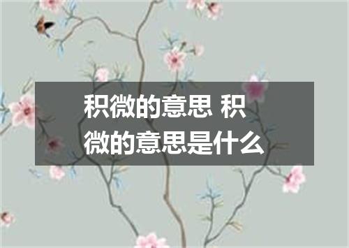 积微的意思 积微的意思是什么