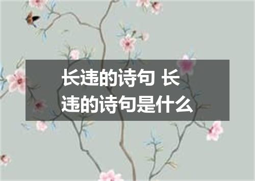 长违的诗句 长违的诗句是什么