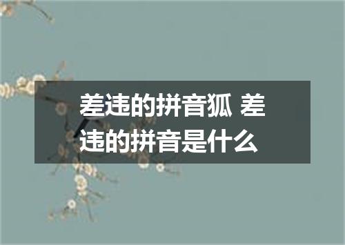 差违的拼音狐 差违的拼音是什么