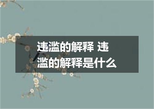 违滥的解释 违滥的解释是什么