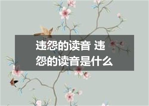 违怨的读音 违怨的读音是什么