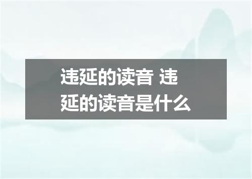 违延的读音 违延的读音是什么