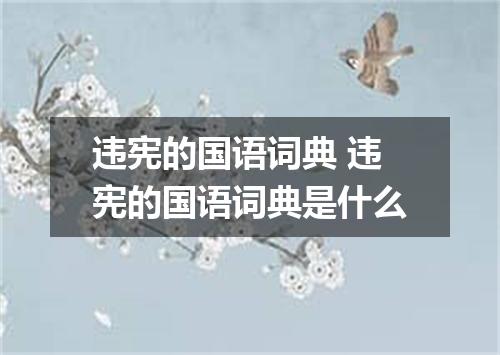 违宪的国语词典 违宪的国语词典是什么