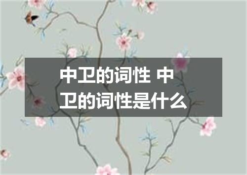 中卫的词性 中卫的词性是什么