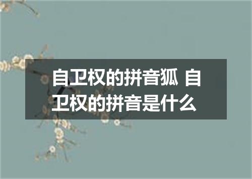 自卫权的拼音狐 自卫权的拼音是什么