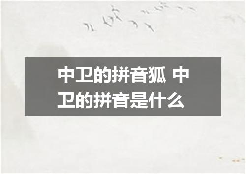 中卫的拼音狐 中卫的拼音是什么