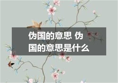 伪国的意思 伪国的意思是什么