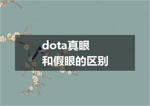 dota真眼和假眼的区别