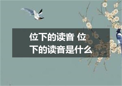 位下的读音 位下的读音是什么