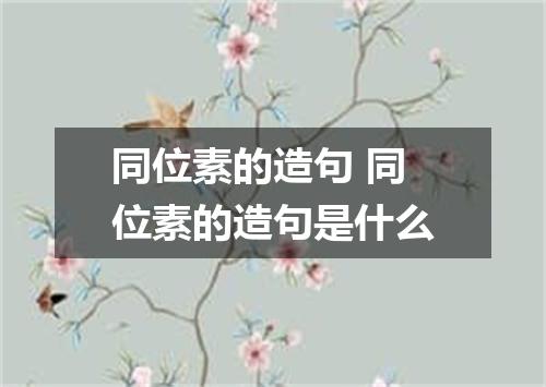 同位素的造句 同位素的造句是什么