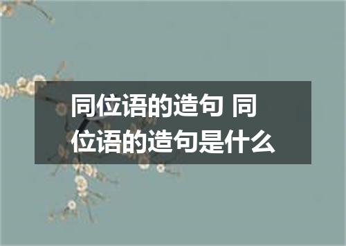 同位语的造句 同位语的造句是什么