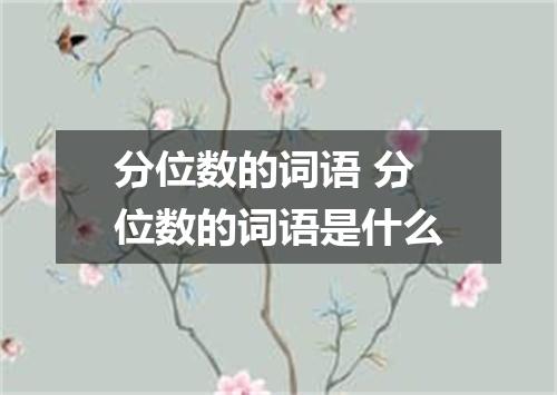 分位数的词语 分位数的词语是什么