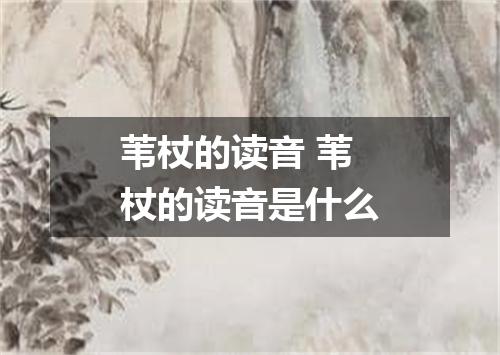 苇杖的读音 苇杖的读音是什么