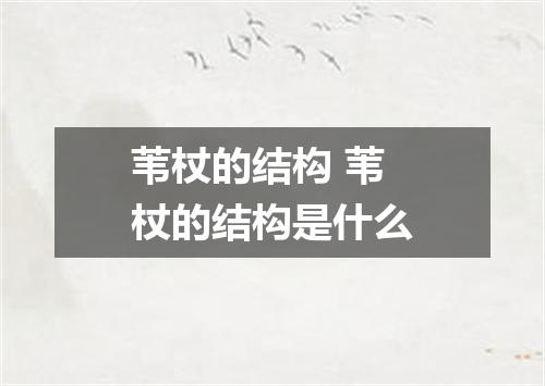 苇杖的结构 苇杖的结构是什么