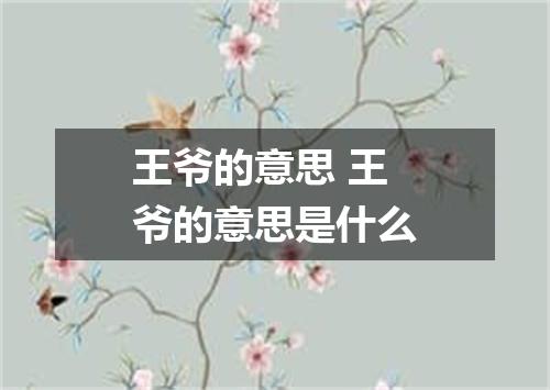 王爷的意思 王爷的意思是什么