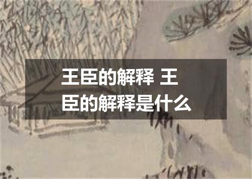 王臣的解释 王臣的解释是什么