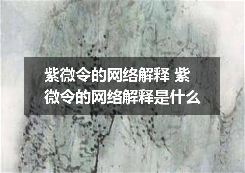紫微令的网络解释 紫微令的网络解释是什么