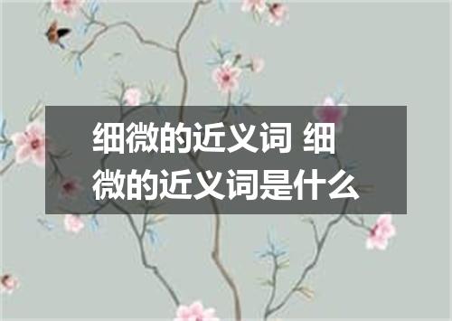 细微的近义词 细微的近义词是什么