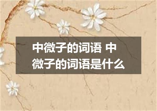 中微子的词语 中微子的词语是什么