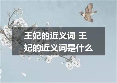 王妃的近义词 王妃的近义词是什么