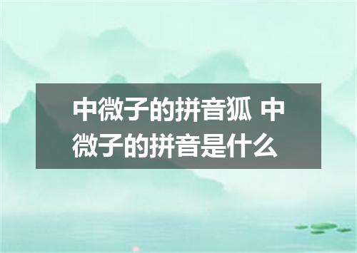 中微子的拼音狐 中微子的拼音是什么
