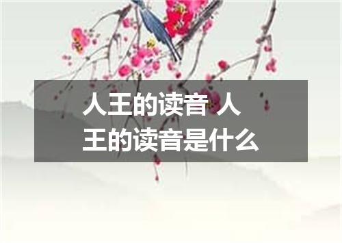人王的读音 人王的读音是什么