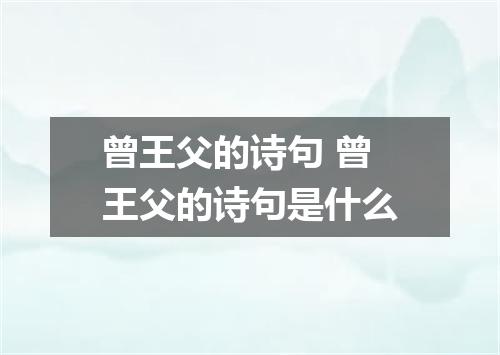 曾王父的诗句 曾王父的诗句是什么