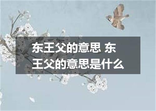 东王父的意思 东王父的意思是什么
