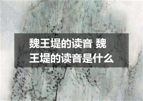 魏王堤的读音 魏王堤的读音是什么