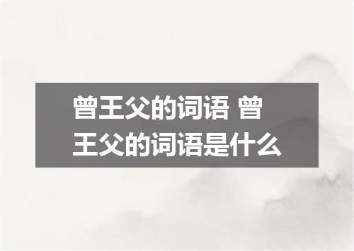 曾王父的词语 曾王父的词语是什么
