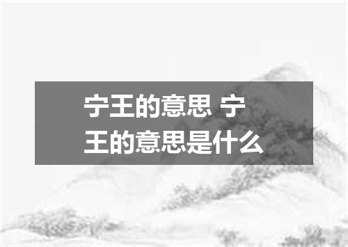 宁王的意思 宁王的意思是什么