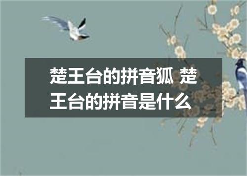 楚王台的拼音狐 楚王台的拼音是什么