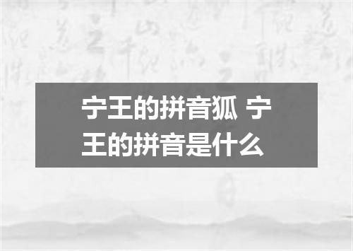 宁王的拼音狐 宁王的拼音是什么