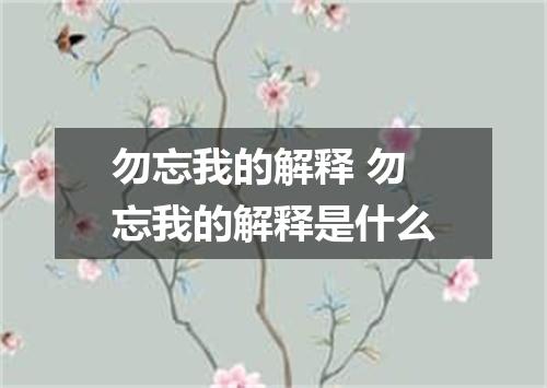 勿忘我的解释 勿忘我的解释是什么