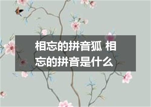 相忘的拼音狐 相忘的拼音是什么