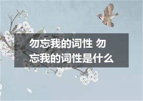 勿忘我的词性 勿忘我的词性是什么